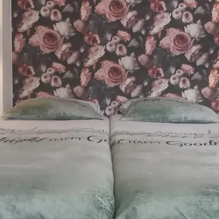 Haus Stefanie Elvire Appartement Altenberg Buitenkant foto