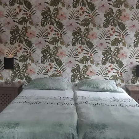 Haus Stefanie Elvire Appartement Altenberg Buitenkant foto