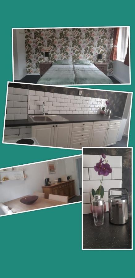 Apartament Haus Stefanie Elvire Altenberg (Osterzgebirge)