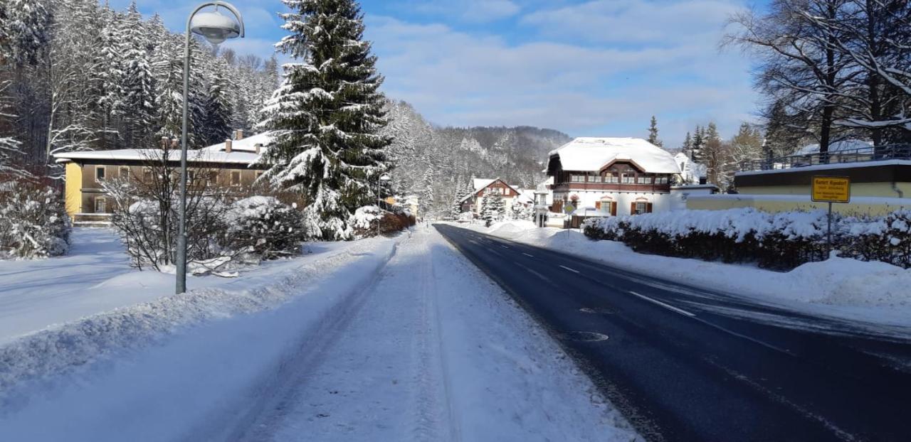 Apartament Haus Stefanie Elvire Altenberg (Osterzgebirge)