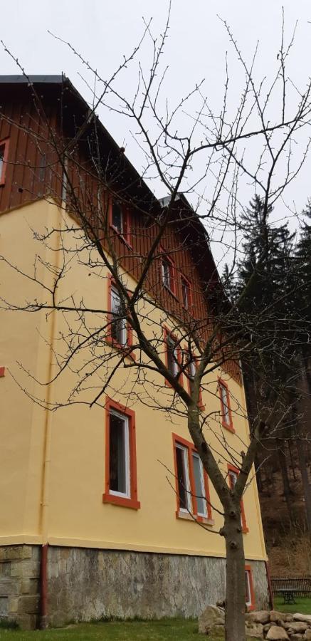 Haus Stefanie Elvire Apartment