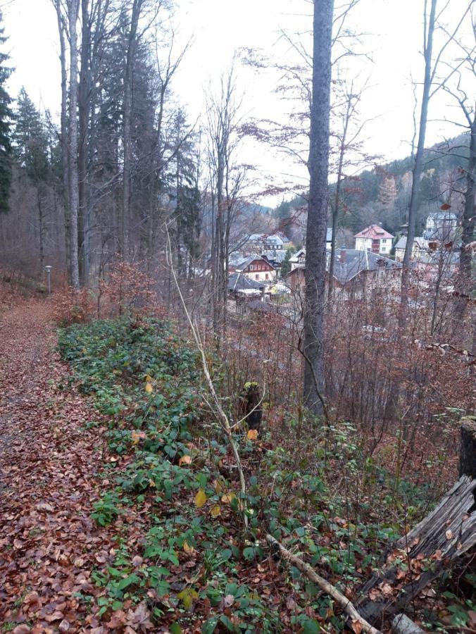 Apartament Haus Stefanie Elvire Altenberg (Osterzgebirge)